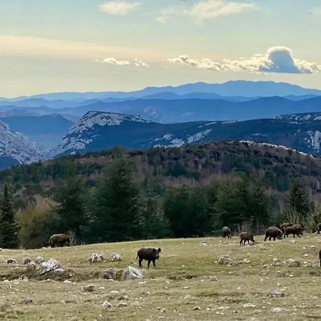 Tramontane Apartamento